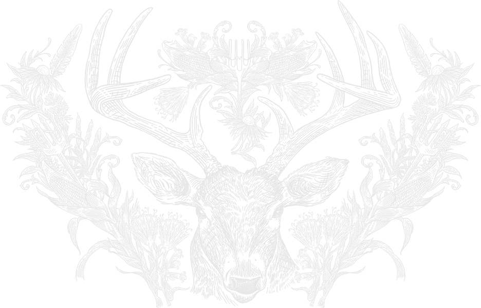 lib-icon-bg-min