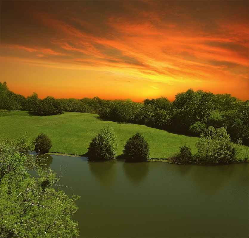 PaPaws-Landscape-Shot-002