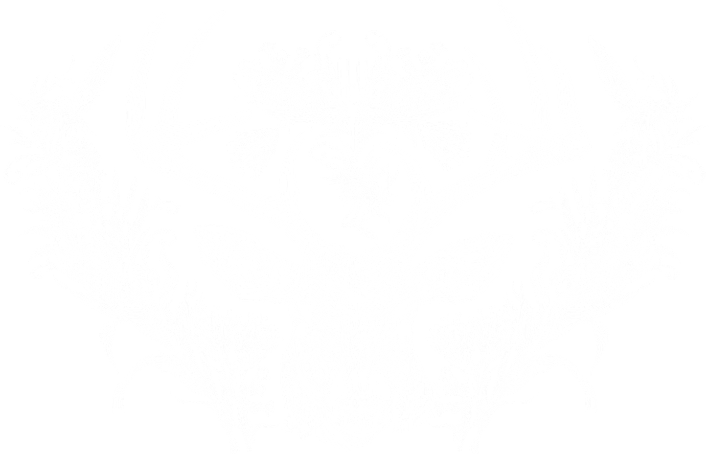 lib-icon-bg-antlers-min